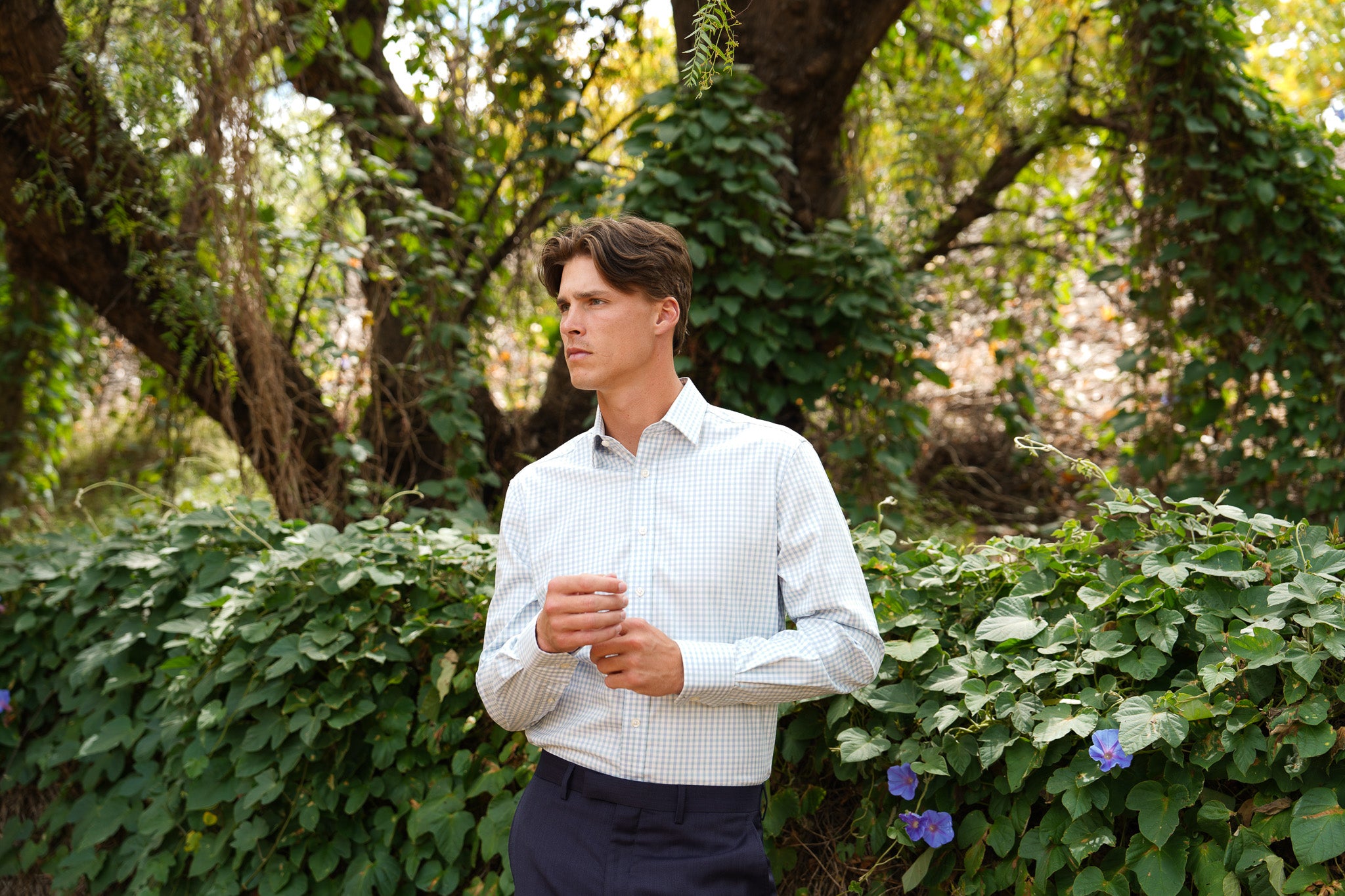 Men's Business Shirts Melbourne | Hardy Amies - Hardy Amies Australia